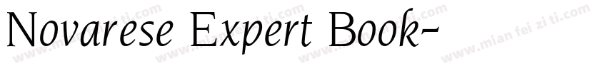 Novarese Expert Book字体转换